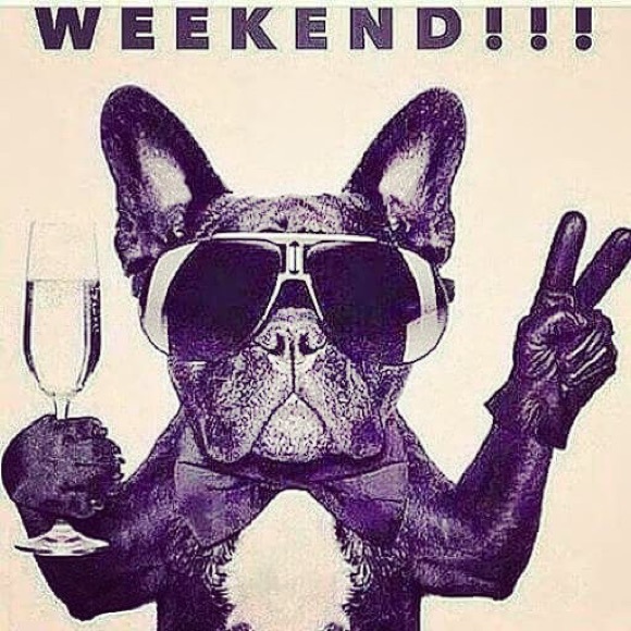 Meet your Posher, Sarny - Picture 1 of 1